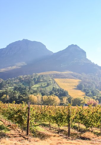 Kaapstad, safari & wijn • Standaard